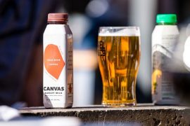 beer startup canvas